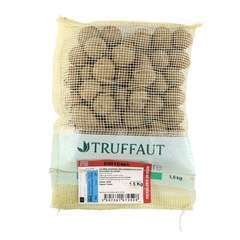 Plants de pommes de terre 'Sirtema' en sac - 1,5 kg