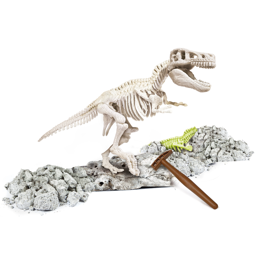 Kit archÃ©ologie : T-Rex phosphorescent