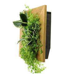 Tableau Végétal Wallflower - Couleur vieux bois 31x31cm