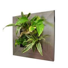 Tableau Végétal Wallflower - Couleur aluminium brossé 31x31cm