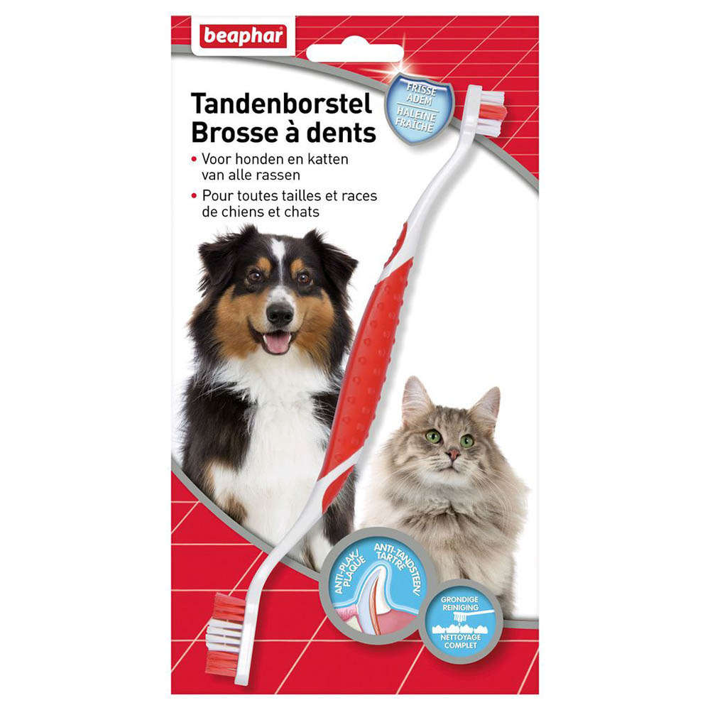 Brosse à dents pour toutes tailles et races de chiens