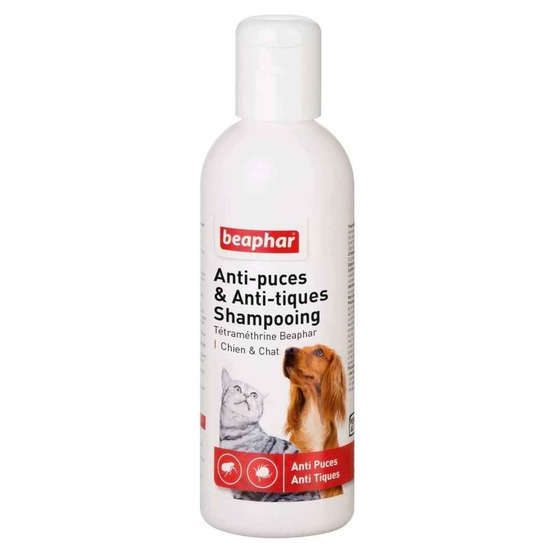 Shampooing antiparasitaire chien et chat Anti-puces et tiques : 200 ml