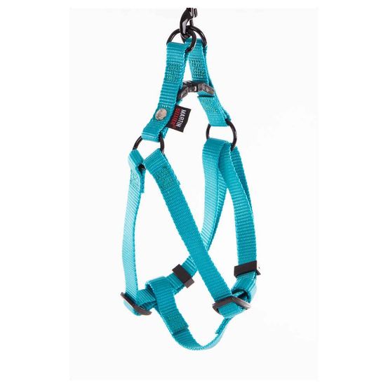Harnais baudrier pour chien 35/50cm, turquoise