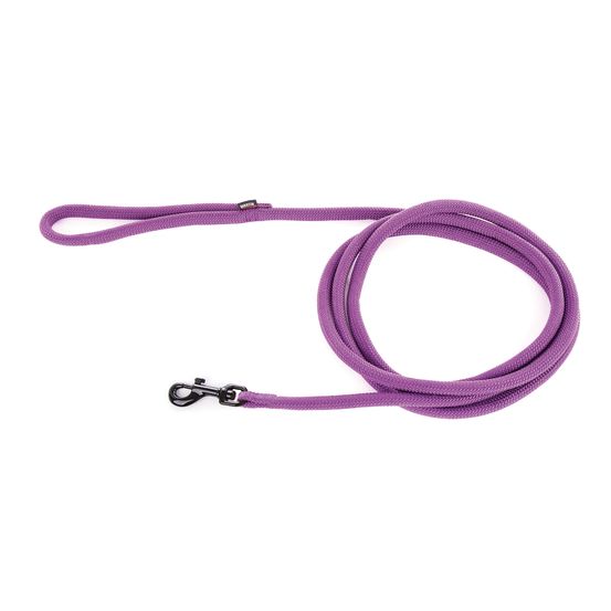 Longe pour chien, en nylon: rond uni mauve L. 3 m