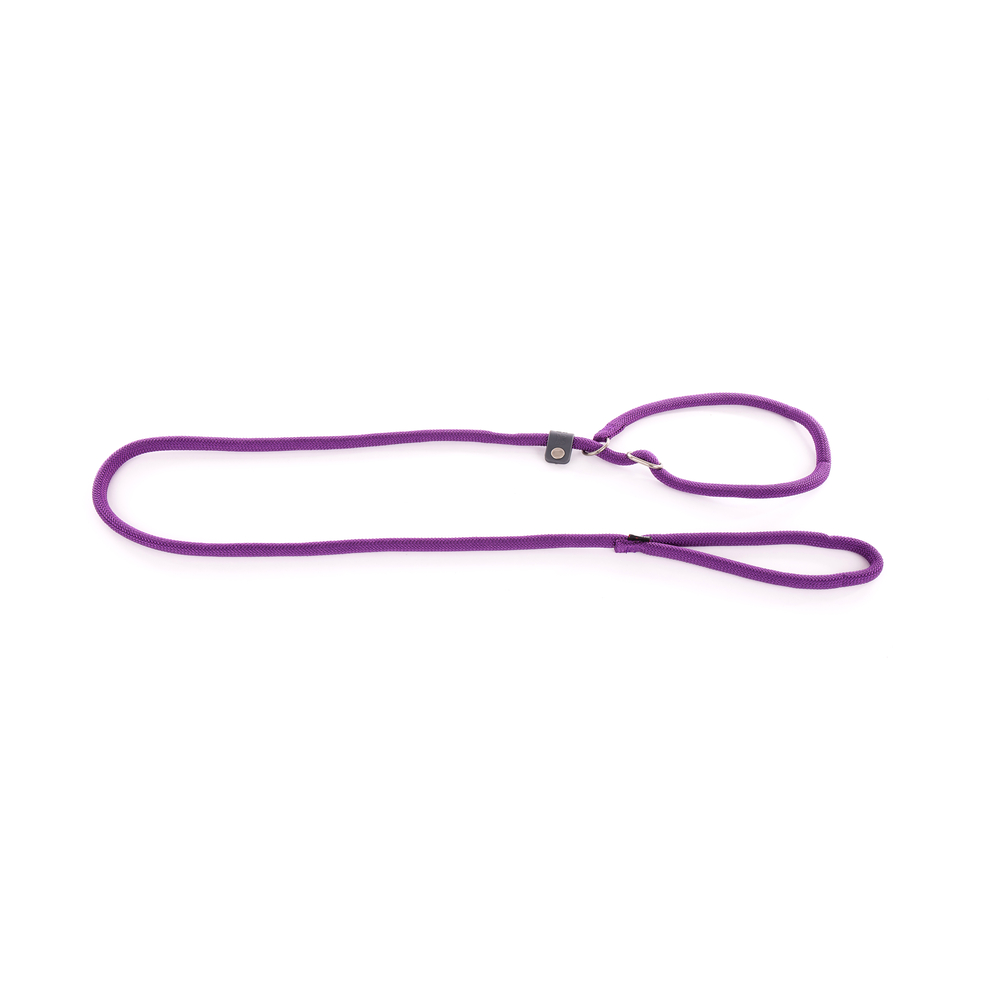 Laisse collier semi étrangleur, en nylon: rond mauve L. 180 cm