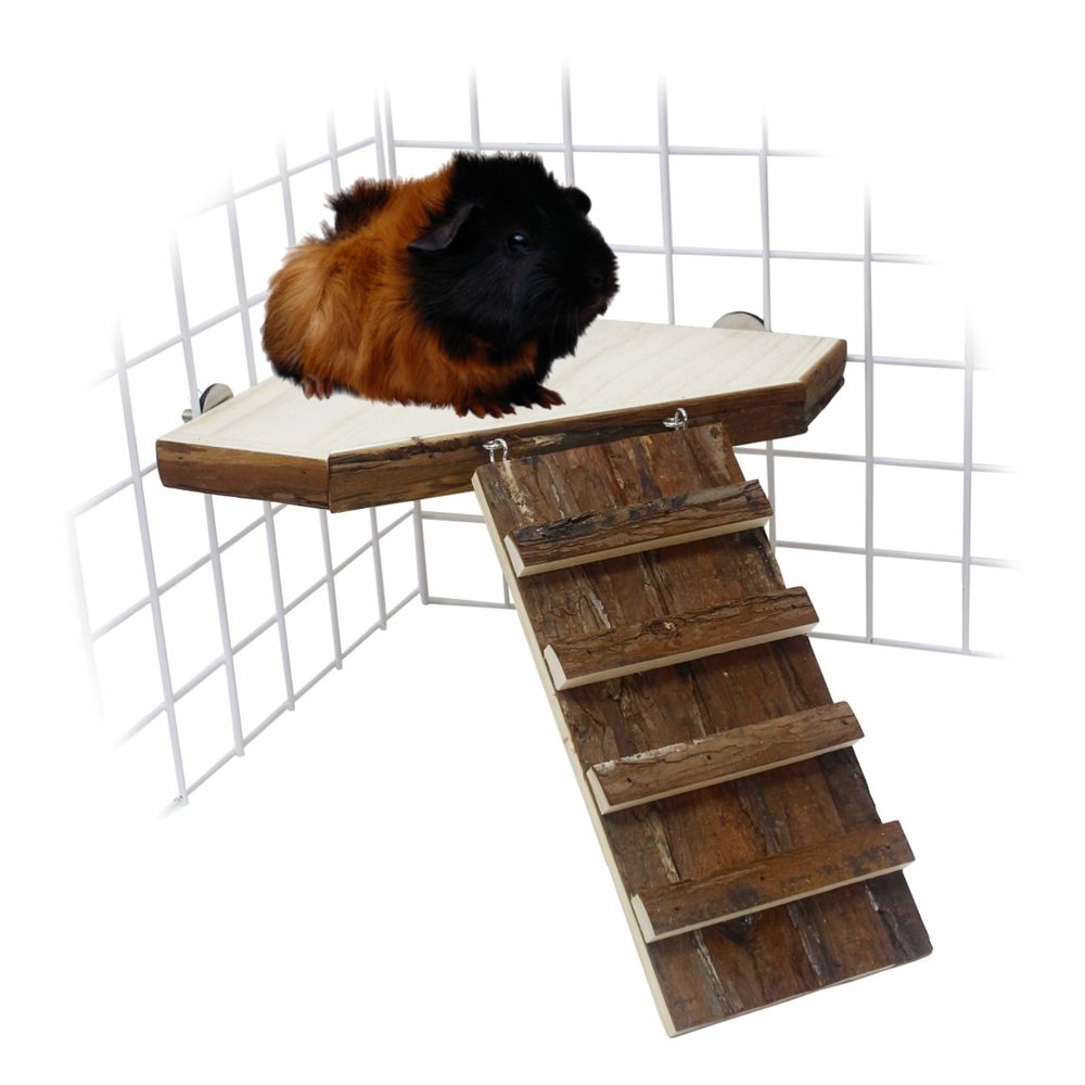 Maison Pour Cochon D'Inde à 2 étages Avec Rampe - Hamac Et Coussin Inclus, Spacieuse Et Durable