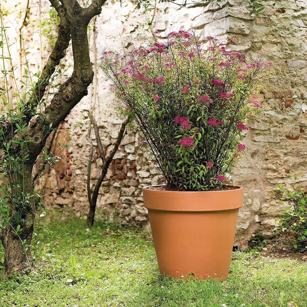 Pot De Fleurs En Céramique Coloré Extérieur/intérieur, Cour Extérieure Vitrée Avec Soucoupe Ronde En Terre Cuite Avec Bac D'égouttement, Pot De Fleurs, Grand Pot De Fleurs Coloré En Argile, Jardi