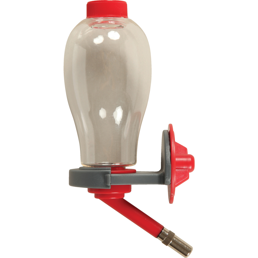 Biberon pour rongeur : cerise 250ml