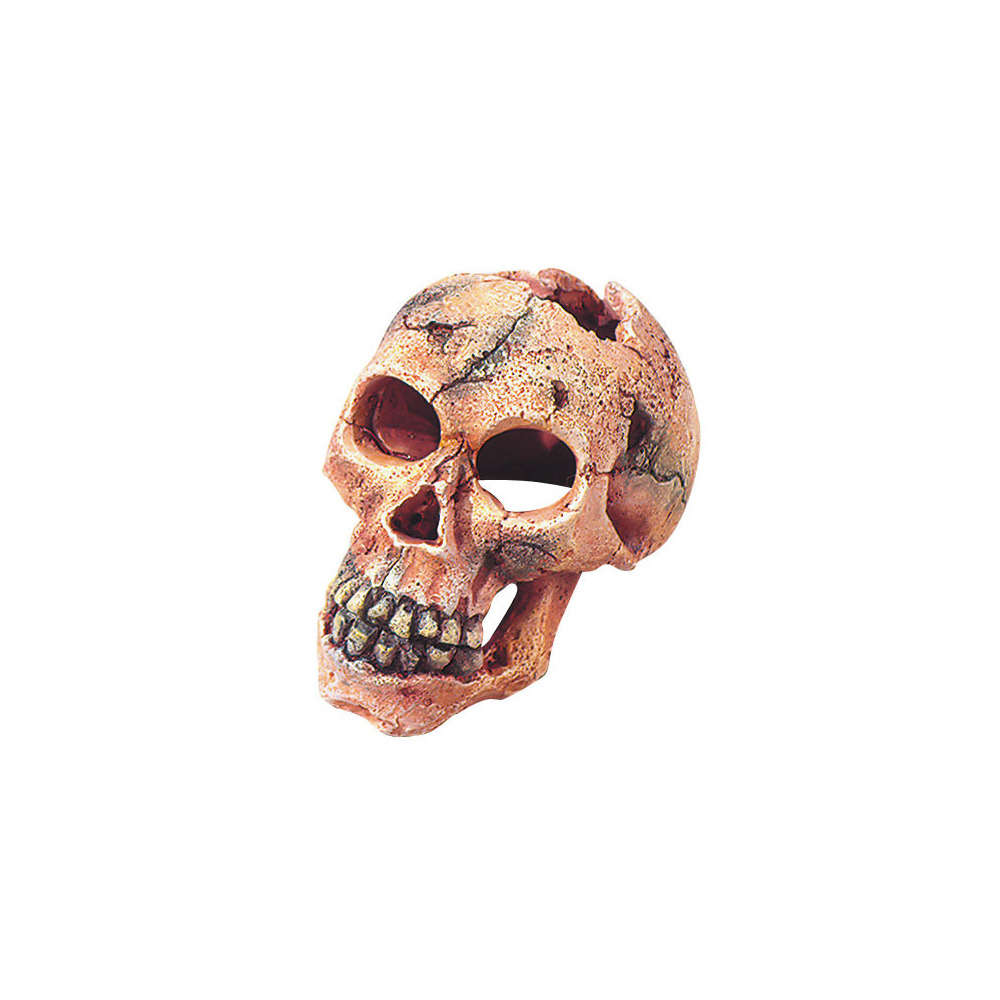 Décoration d'aquarium, Skull taille S - L.11xl.7,5xH.7,5cm