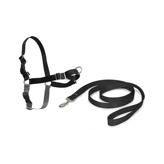 Harnais pour chiens Easy Walk M Noir