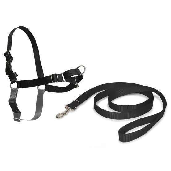 Harnais pour chiens Easy Walk L Noir