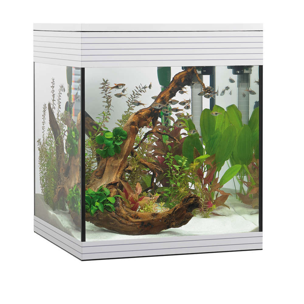 Aquarium Askoll Pure LED, blanc - 53 litres