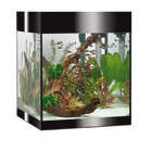 Aquarium Askoll Pure LED, noir - 53 litres