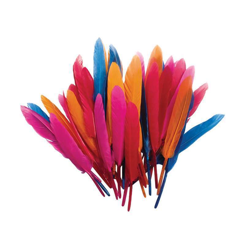 PLUMES INDIEN ASSORT 150MM 10G-(573091)