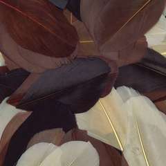 Sachet 10 cm gr plumes coupées camaieu chocolat H.60 cm