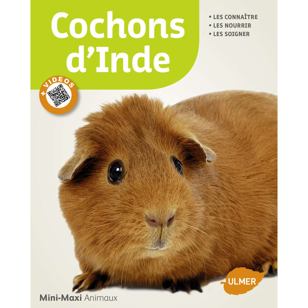Livre animalerie rongeurs : Cochons d'inde Mini-Maxi enrichi