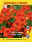 Capucine Orange Troika graines en sachet