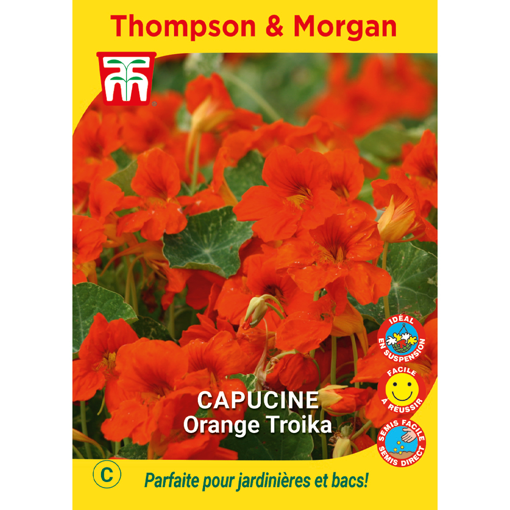 Capucine Orange Troika graines en sachet