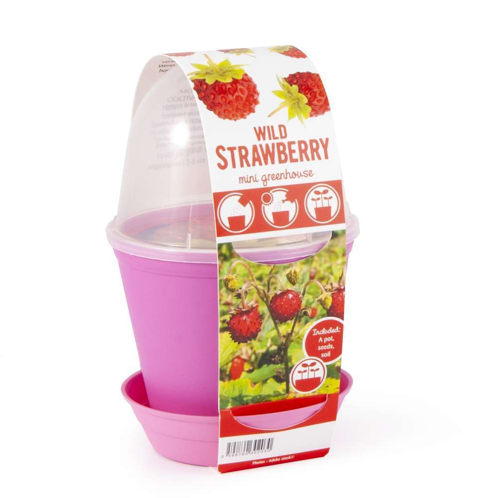 POT CLOCHE FRAISIERS-(583052)