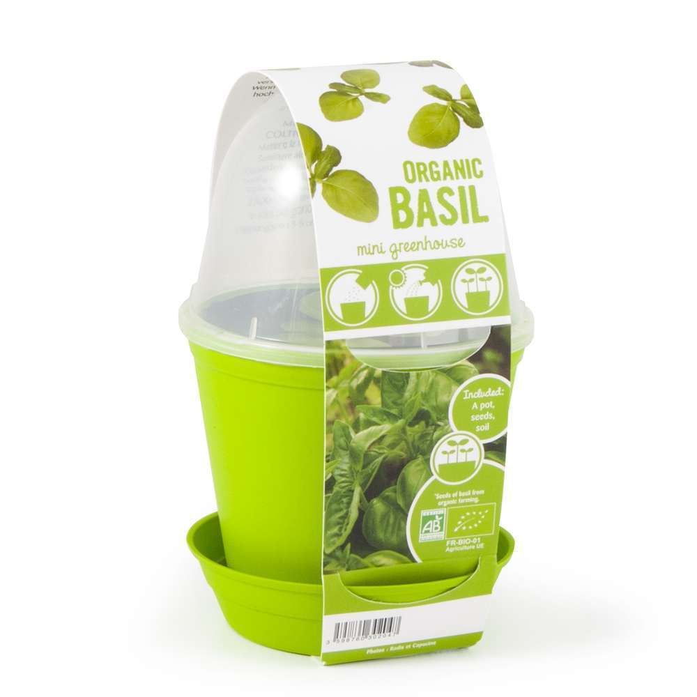 POT CLOCHE BASILIC BIO-(583053)
