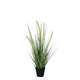 Plante artificielle : Pot herbe Dogtail D.10 x H.53 cm