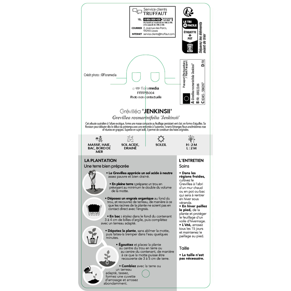 Grevillea rosmarinifolia 'Rosa jenkinsii' : ctr 3 litres