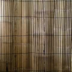 Panneau lamelle Pleio, bambou naturel beige - l.200 x H.180cm
