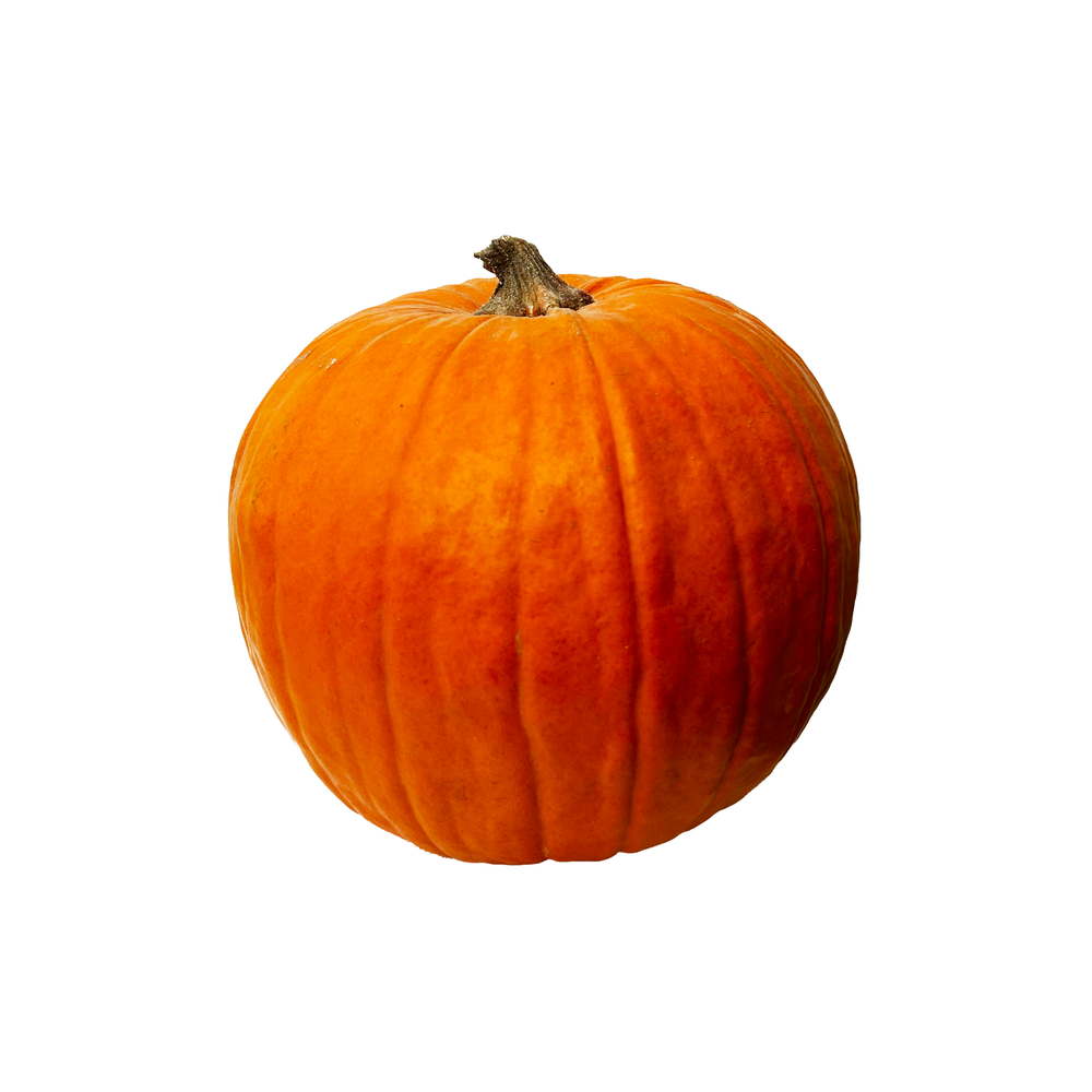 Citrouille Halloween Jack O' Lantern D.18/22cm