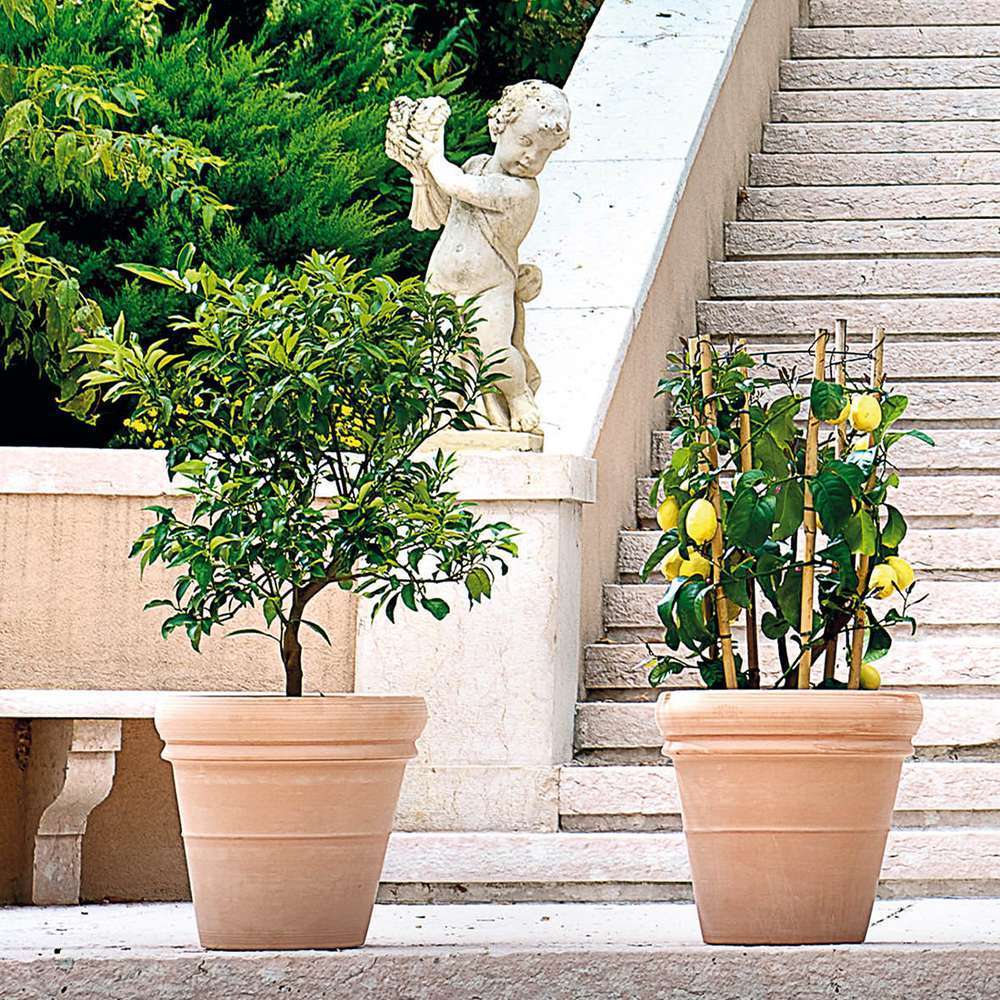 Pot double rebord Antique en terre cuite claire Ø 42,5 x 38,7cm