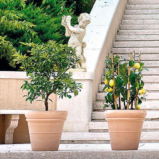 Pot double rebord Antique en terre cuite claire Ø 42,5 x 38,7cm