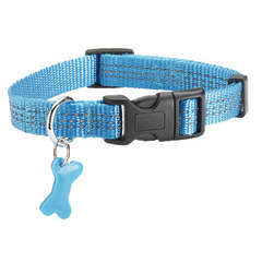 Collier Safe pour chien de couleur bleu et de taille 10