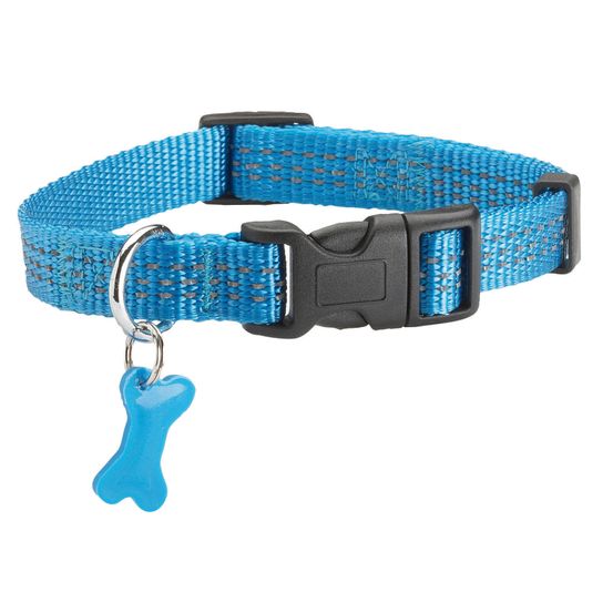 Collier Safe pour chien de couleur bleu et de taille 10