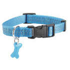 Collier Safe pour chien de couleur bleu et de taille 16
