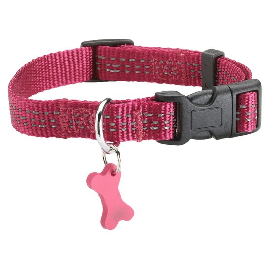 Collier Safe pour chien de couleur fushia et de taille 10