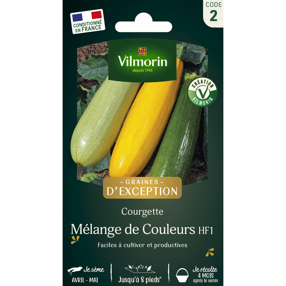 Graines de courgette melange de couleurs en sachet