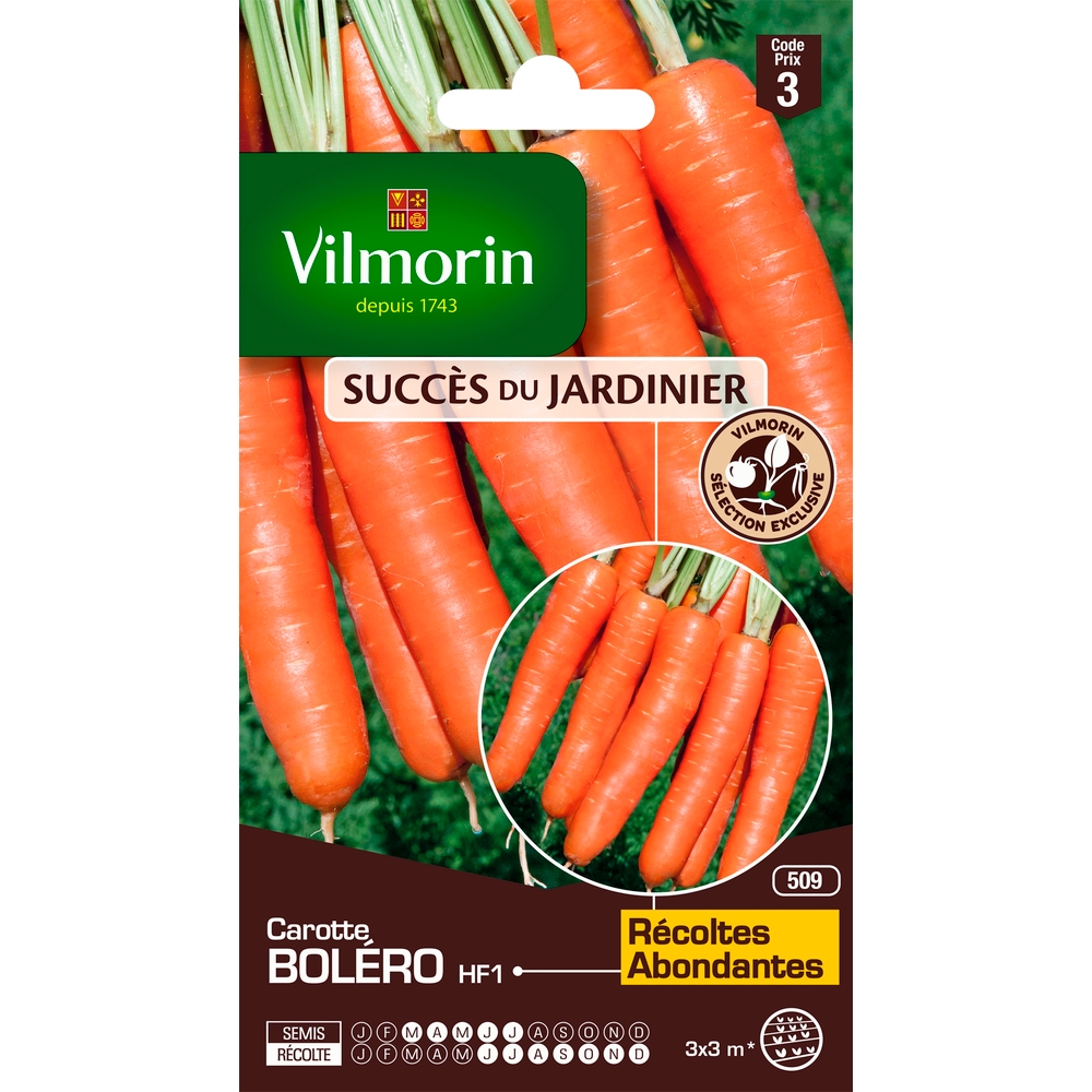 Carotte Bolero HF1 Creation Vilmorin