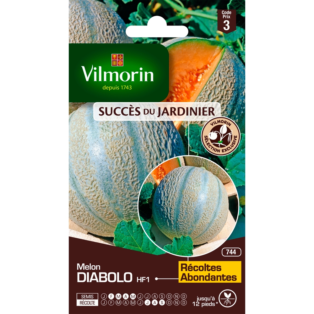 Graines de melon Diabolo Hybride F1 en sachet