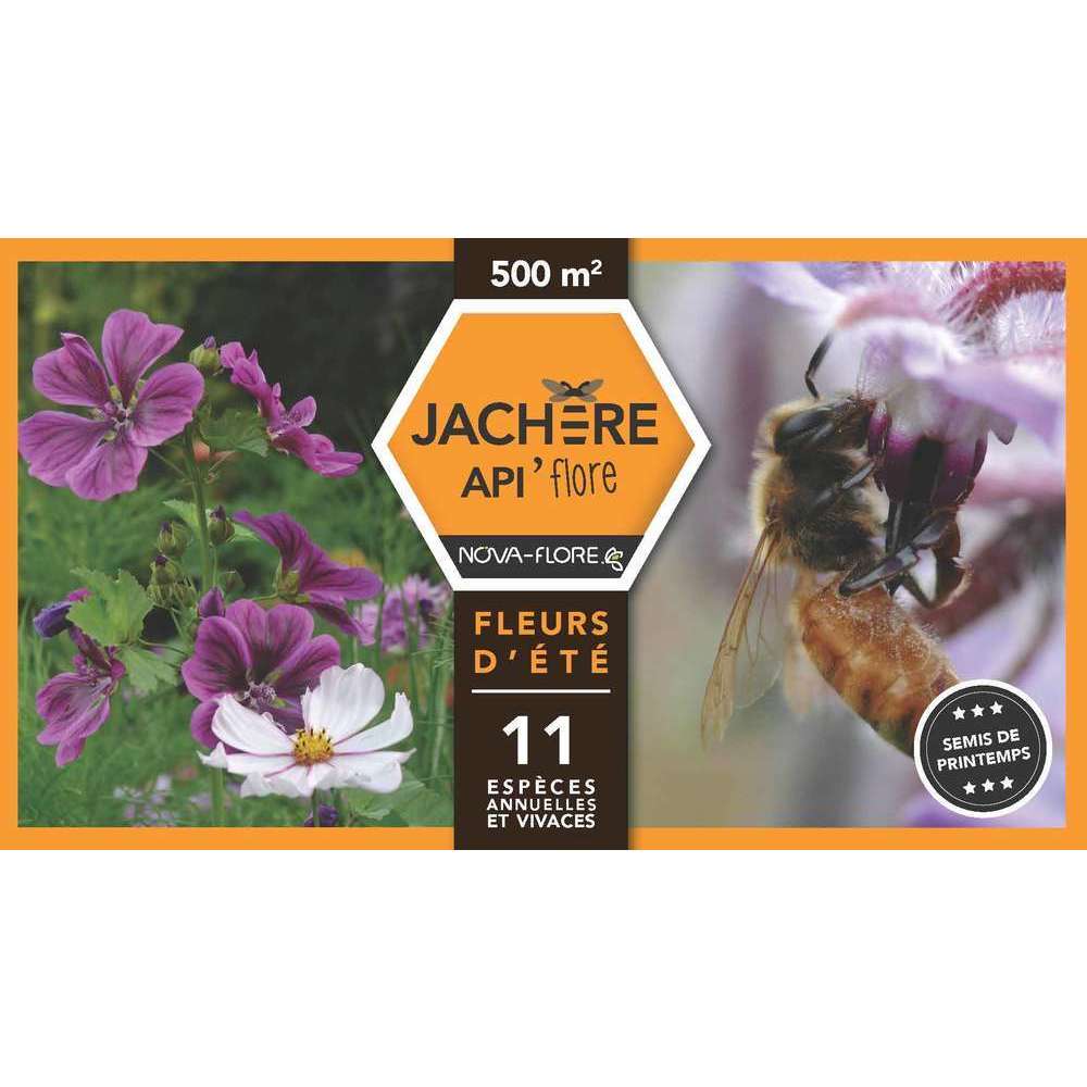 Jachère mellifère fleurs d'été : boite