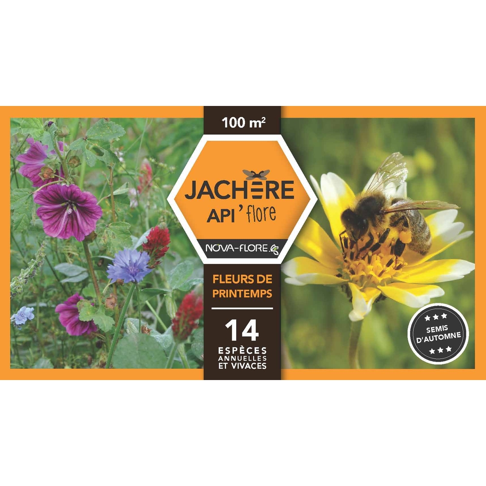 Jachère mellifère fleurs de printemps : boite