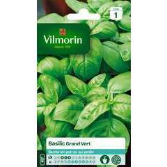 Graines de basilic grand'vert en sachet Vilmorin