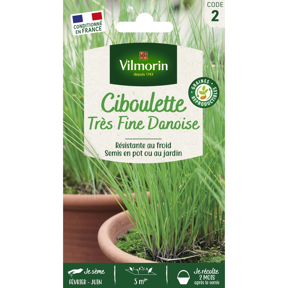 Graines de ciboulette très fine Danoise en sachet