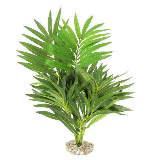 Plante artificielle pour terrarium : plastique Décor plante terrarium Labeo  | Truffaut