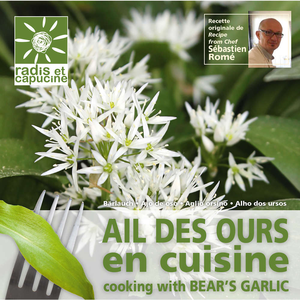 SACH. FL COMESTIBLE AIL OURS-(599260)