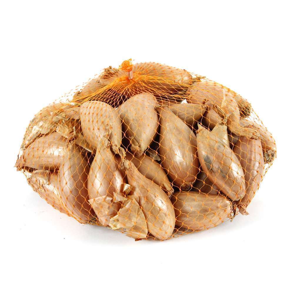 Bulbes d'échalotes 'Longor' en filet - 250 g