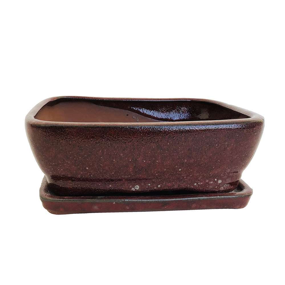 Pot + soucoupe bonsaÃ¯ : terre cuite, L.21cm