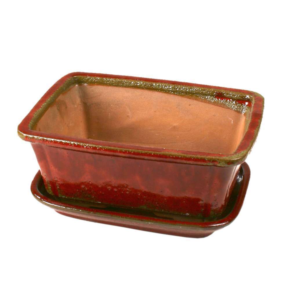 Coude En Laiton 3/8" Barb X 1/8" NPT Mâle Grainger 6AFK2 - Raccord Pneumatique Ou Hydraulique Neuf