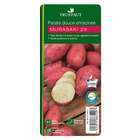 Plant de patate douce 'Murasaki' 29 : pot de 1 litre