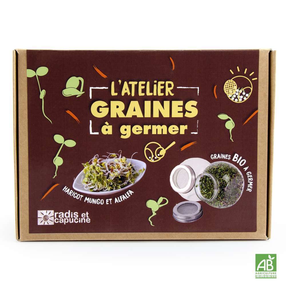 COFFRET 2 GERMOIRS VERRE-(613413)