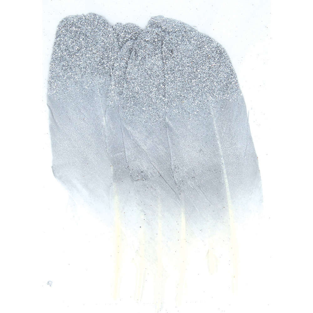 Plumes argentées x6