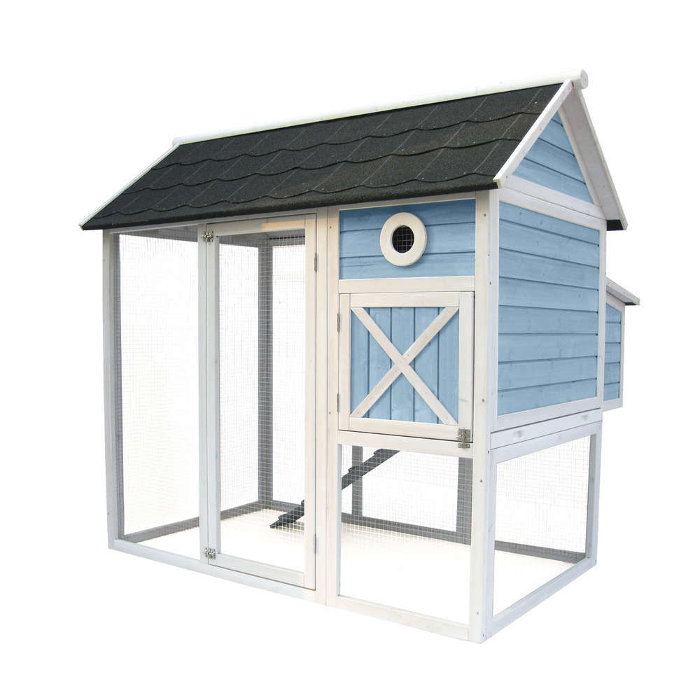 Poulailler P'tit Chou bois bleu et blanc 3 poules - 150x121,6x140 cm